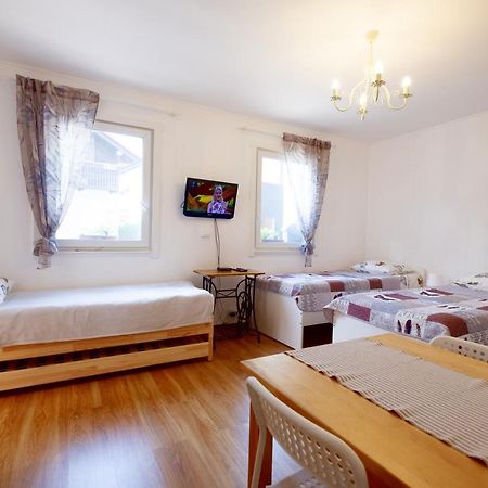 Appartamento Eco-Lux Apart With Free Bicycles End Free Parking Lubiana Esterno foto