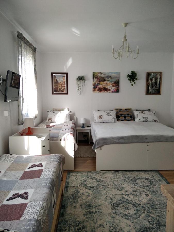 Appartamento Eco-Lux Apart With Free Bicycles End Free Parking Lubiana Esterno foto